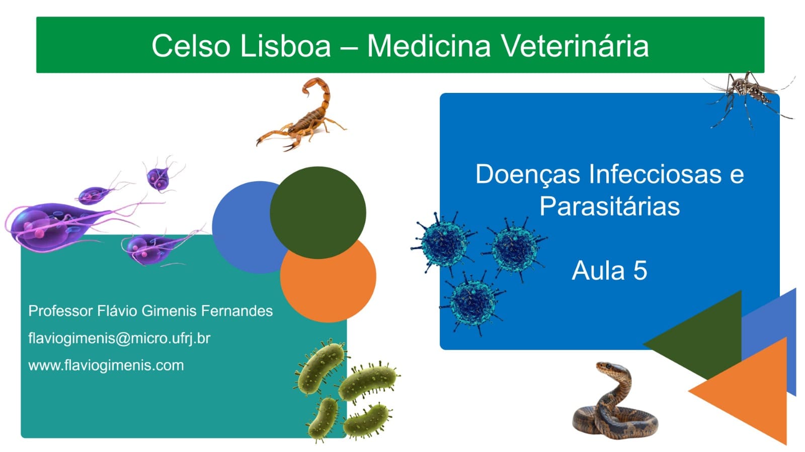 Aula 5 - Disciplina de Doenças Infecciosas e parasitárias