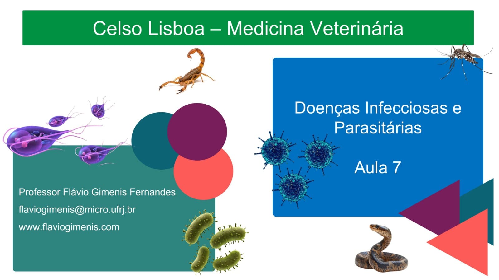 Aula 7 - Disciplina de Doenças Infecciosas e parasitárias