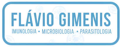 Flavio Gimenis - Logo