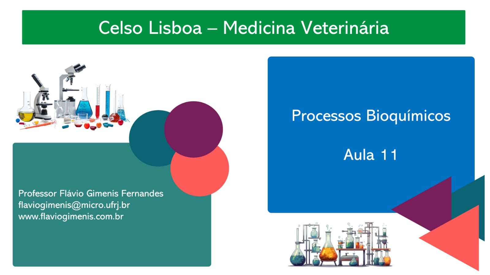 11. Capa - Aula 11 - Disciplina de Processos Bioquímicos